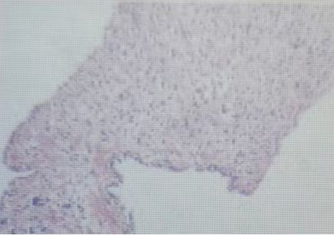 1770085199147485.png 微信图片_2026-02-03_101946_146.png