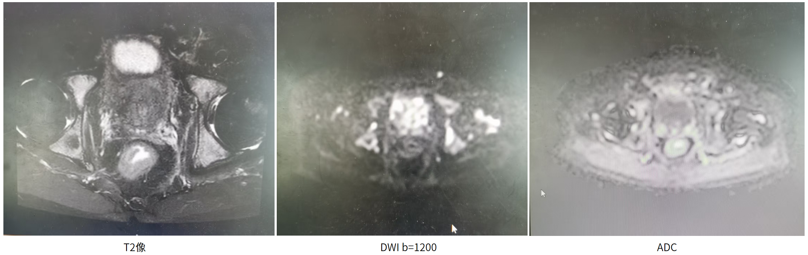 1770085217896733.png 微信图片_2026-02-03_102005_827.png