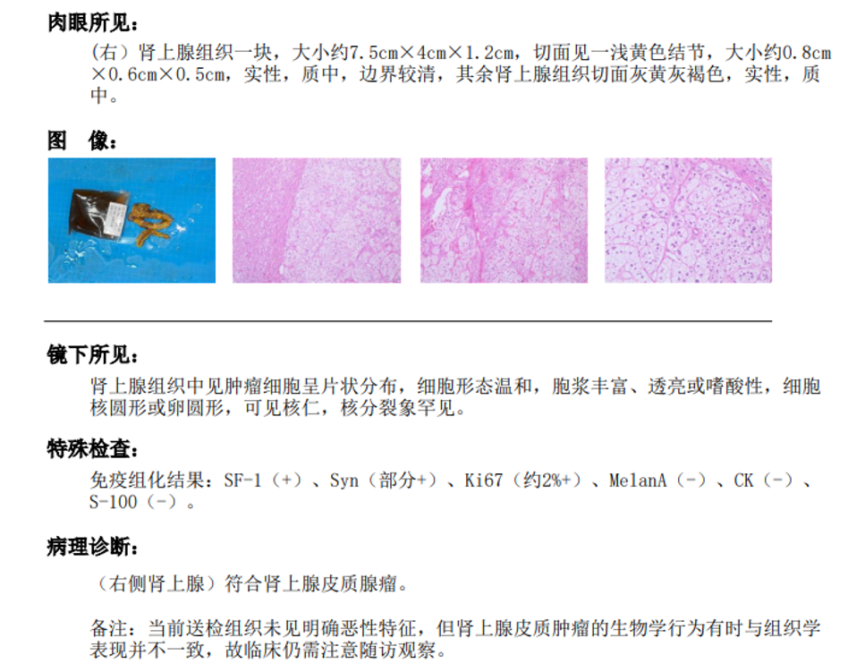 1770086626210080.png 微信图片_2026-02-03_104334_675.png