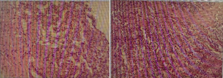 1770086905310081.png 微信图片_2026-02-03_104811_113.png