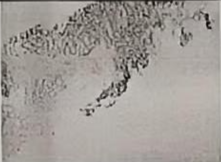 1770100114362925.png 微信图片_2026-02-03_142819_479.png