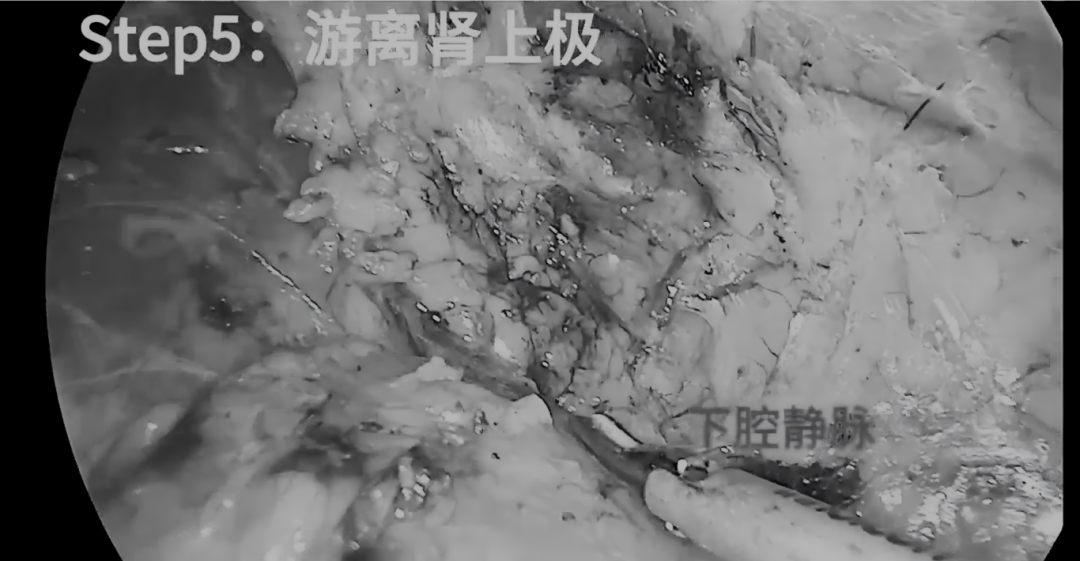 1770101046972275.png 微信图片_2026-02-03_144348_333.png