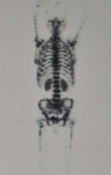 微信图片_2026-02-03_144646_581.png