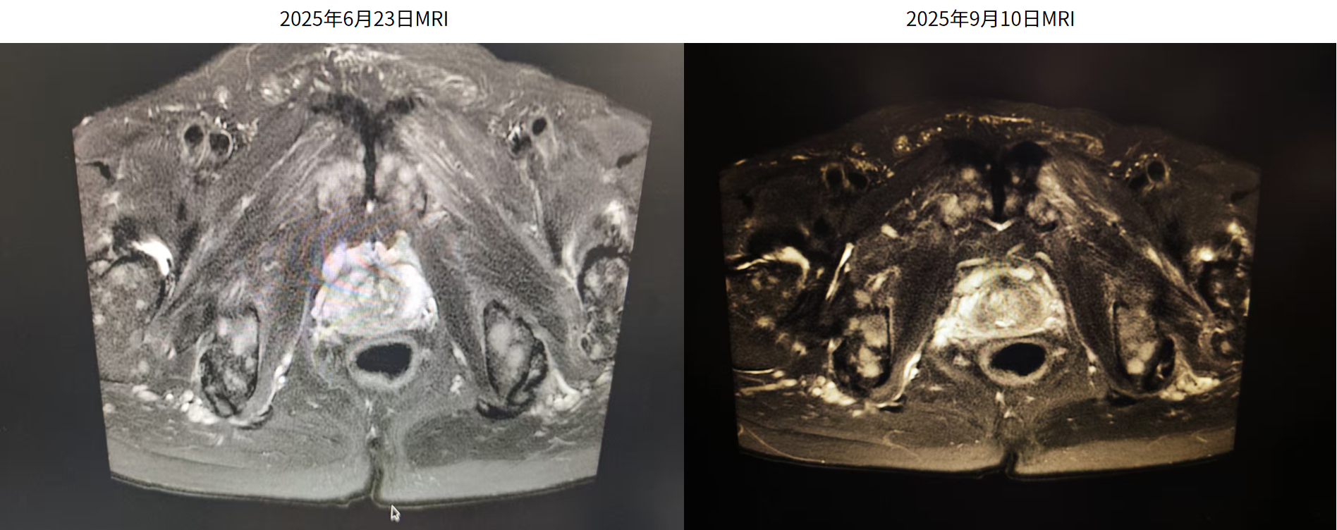 微信图片_2026-02-03_144725_389.png