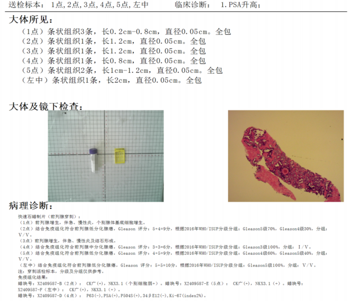微信图片_2026-02-03_152834_989.png
