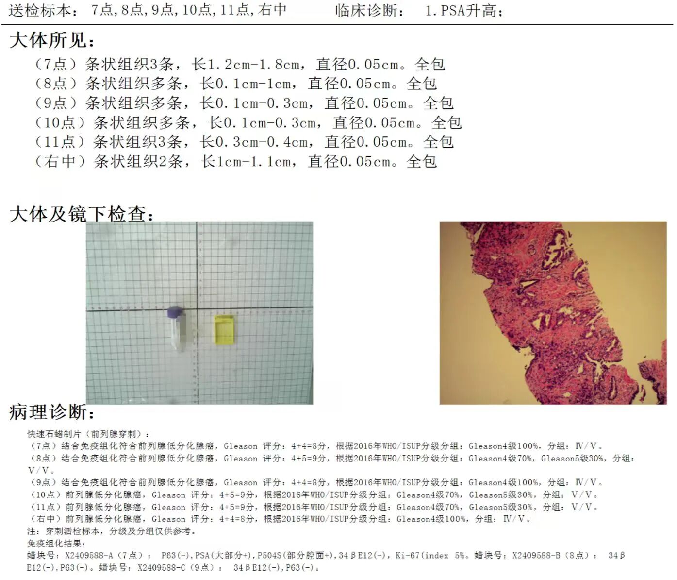 微信图片_2026-02-03_152843_309.jpg
