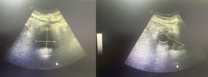 1770104998205619.png 微信图片_2026-02-03_154942_956.png