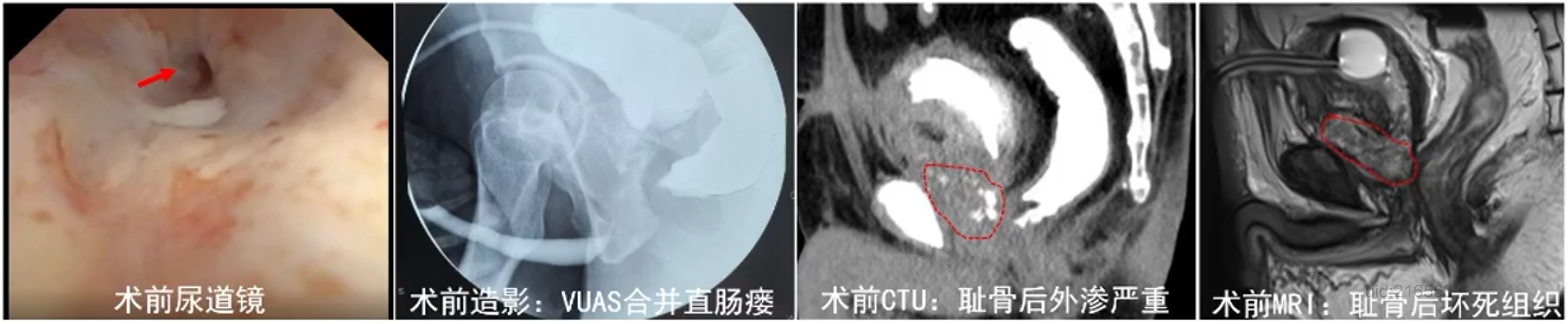 微信图片_2026-02-03_155852_998.png