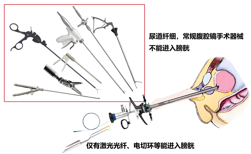 1770188608521477.png 微信图片_2026-02-04_150307_048.png
