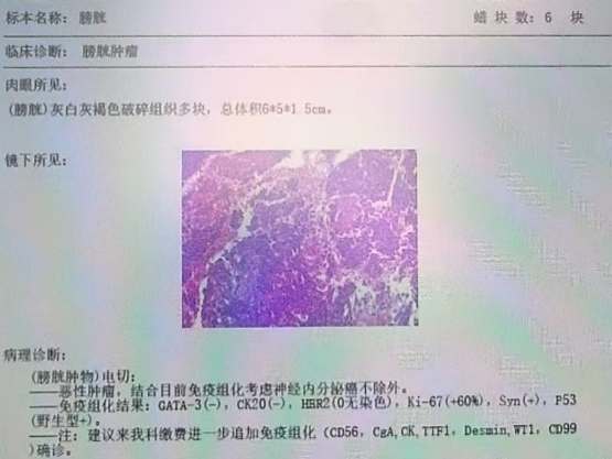 1770189313395434.png 微信图片_2026-02-04_151453_335.png