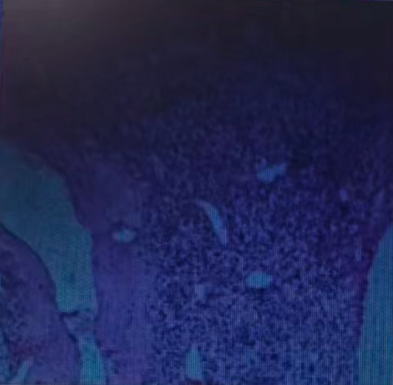 1770259858198123.png 微信图片_2026-02-05_105045_553.png