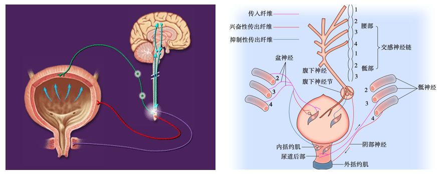 微信图片_2026-02-05_134834_810.png