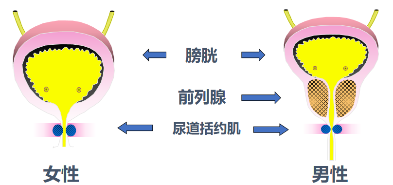 微信图片_2026-02-05_134900_564.png