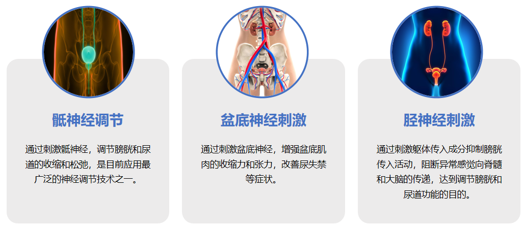 微信图片_2026-02-05_135926_010.png