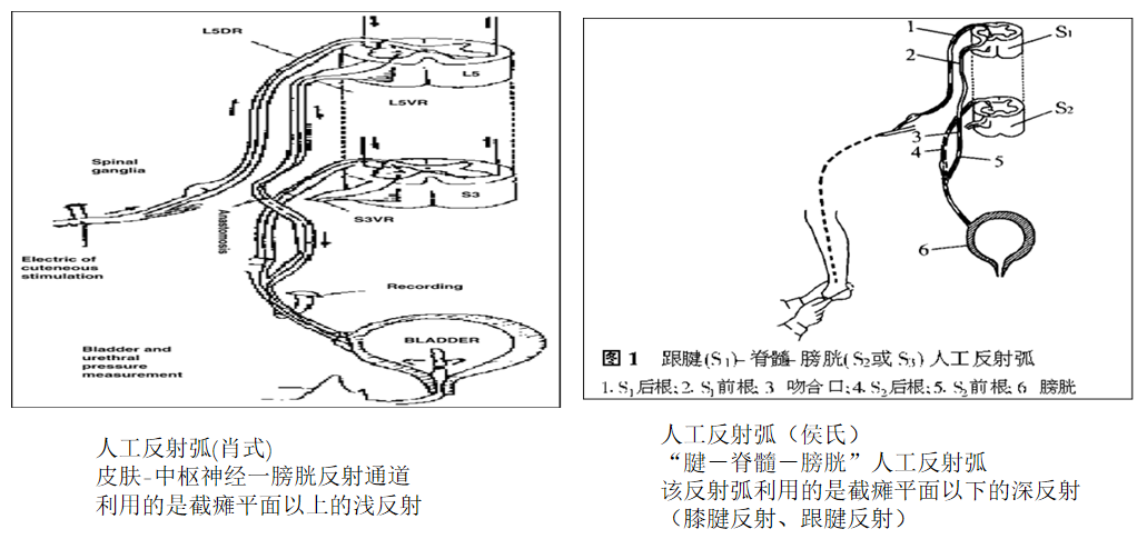 微信图片_2026-02-05_140653_273.png