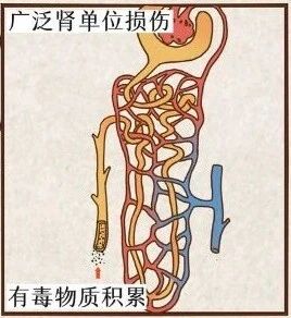 1770272447458909.jpg 微信图片_2026-02-05_142023_290.jpg