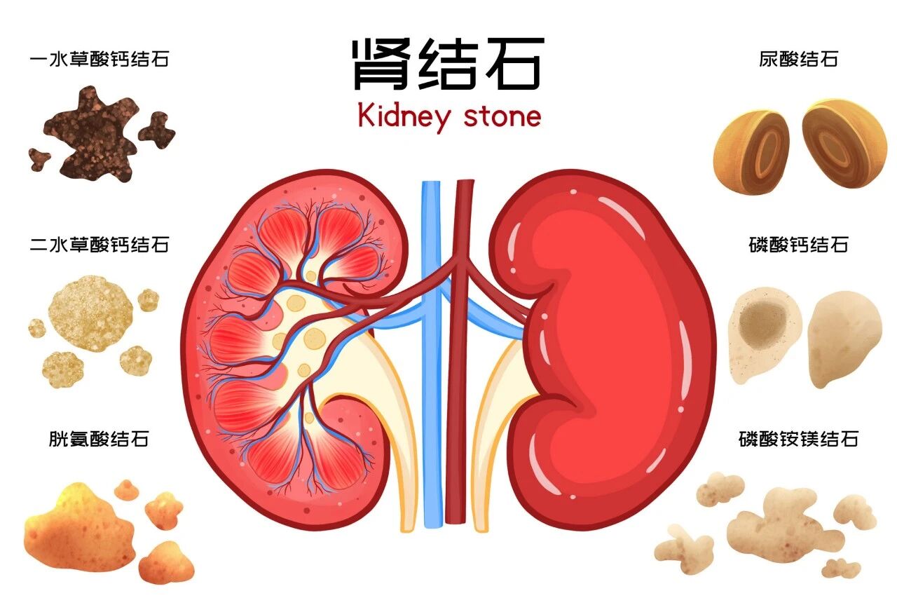 1776911779695292.jpg 微信图片_2026-04-23_103539_425.jpg