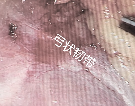 微信图片_2026-04-23_111431_702.png