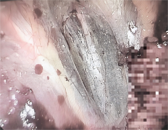 微信图片_2026-04-23_111551_415.png