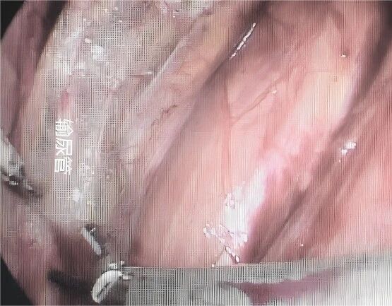 微信图片_2026-04-23_111611_461.jpg