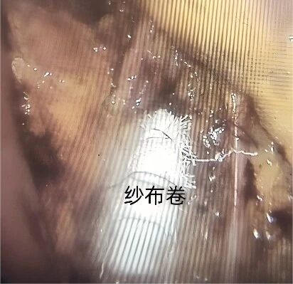 微信图片_2026-04-23_111724_567.jpg