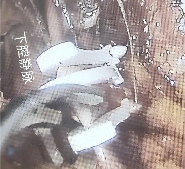 微信图片_2026-04-23_111814_166.jpg