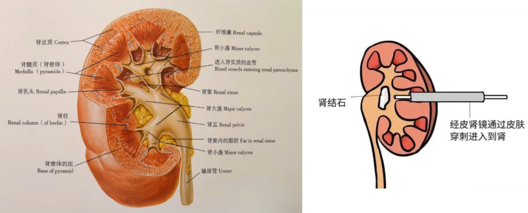 1782975531331526.png 微信图片_2026-07-02_145838_242.png