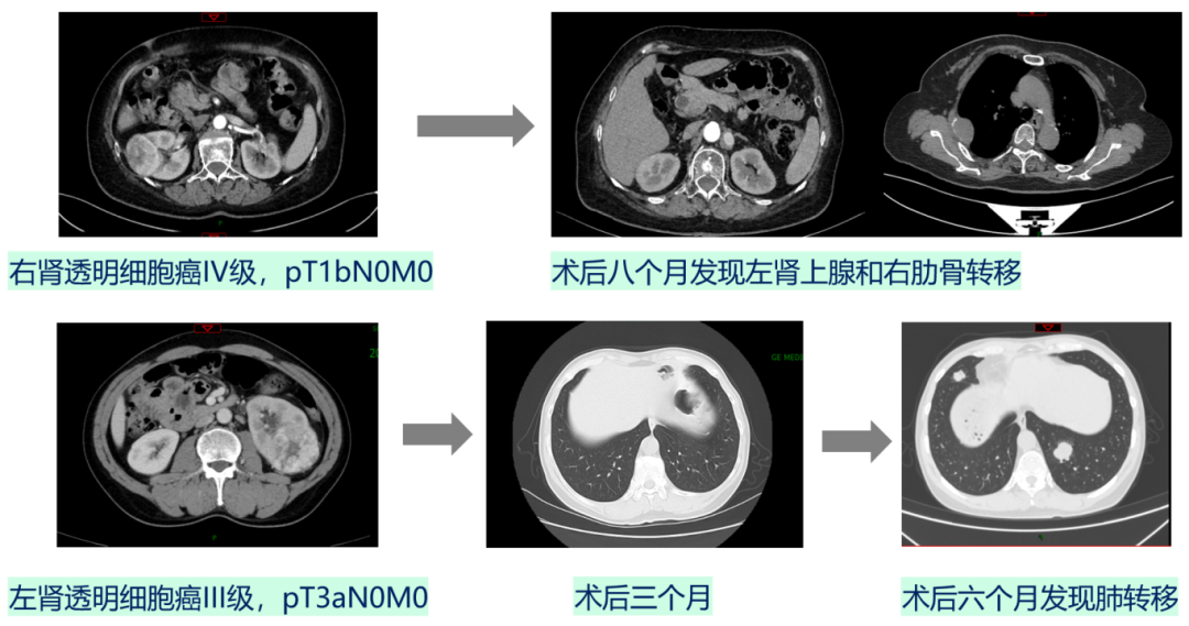 微信图片_2026-07-02_151733_245.png