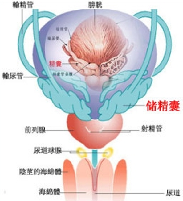 1783060568638162.png 微信图片_2026-07-03_143254_774.png