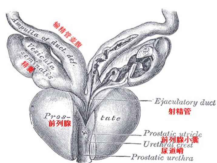 1783060825415777.png 微信图片_2026-07-03_143331_710.png