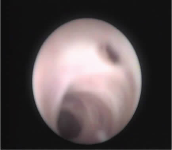 1783060950643839.png 微信图片_2026-07-03_143349_487.png