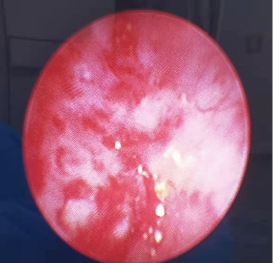 1783061165110311.png 微信图片_2026-07-03_143436_151.png