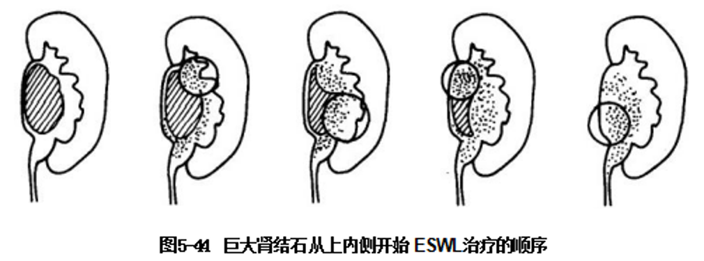 微信图片_2026-07-03_150536_071.png