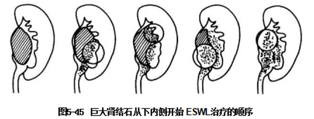 微信图片_2026-07-03_150540_048.png