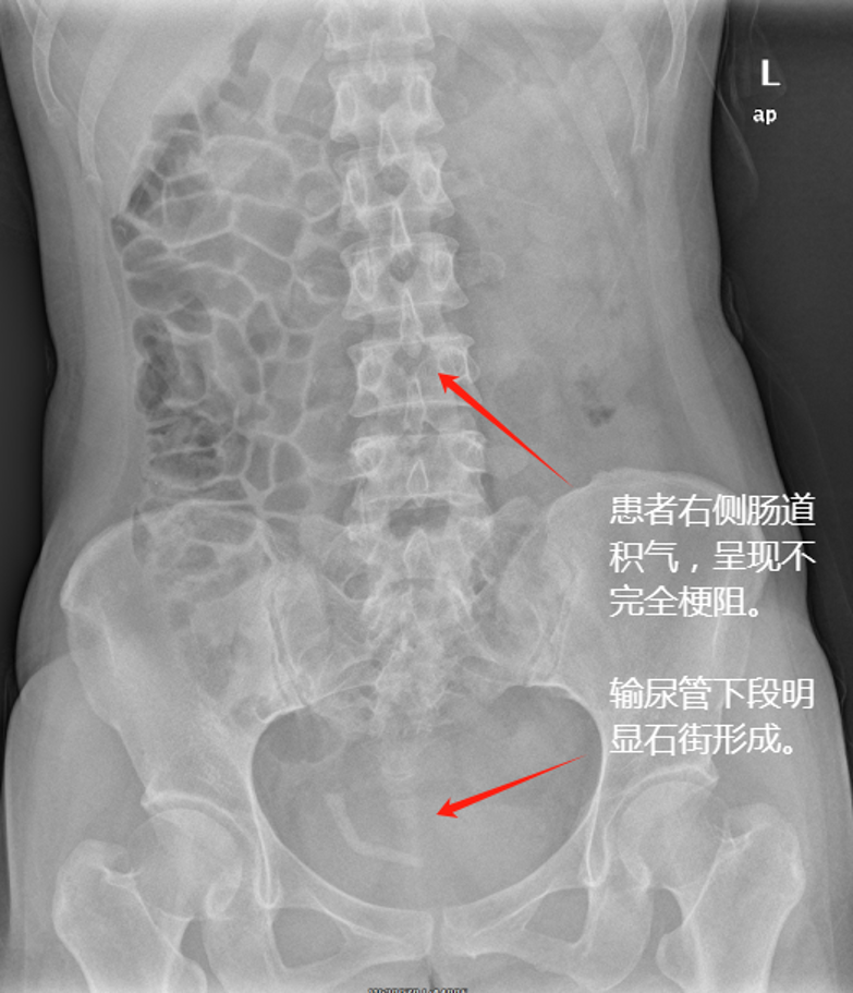 微信图片_2026-07-03_150548_569.png