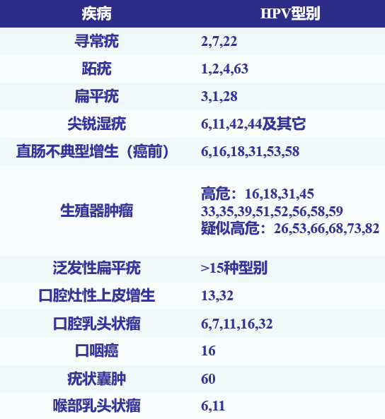 微信图片_2026-07-03_152131_032.png
