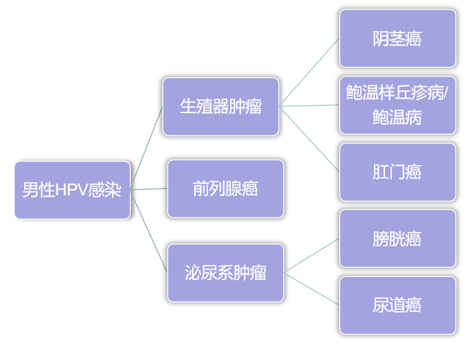 微信图片_2026-07-03_152218_863.png
