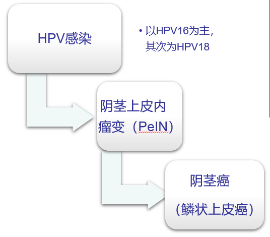微信图片_2026-07-03_152225_147.png