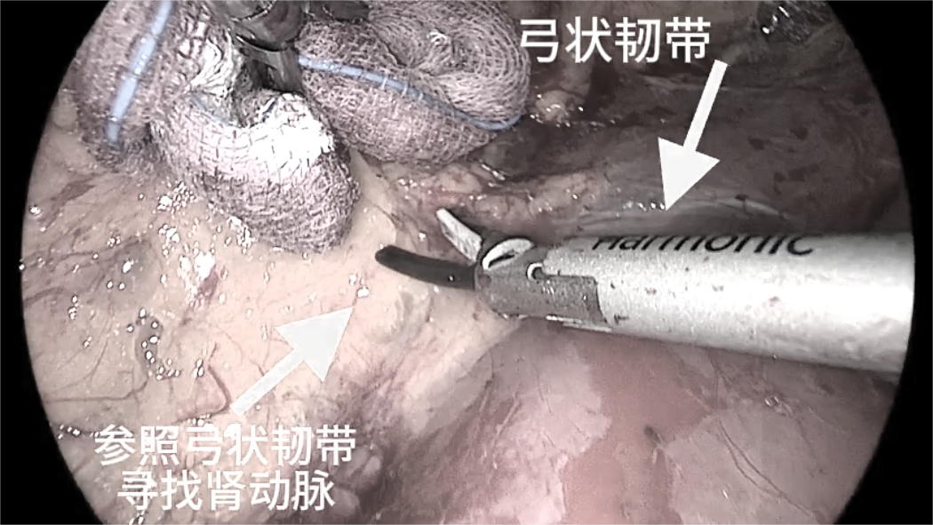 微信图片_2026-07-03_155823_878.png