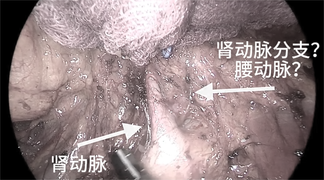 微信图片_2026-07-03_155826_984.png