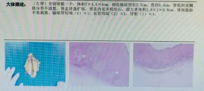 微信图片_2026-07-03_155903_088.jpg