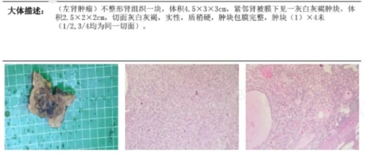 1783066195247967.jpg 微信图片_2026-07-03_160935_286.jpg