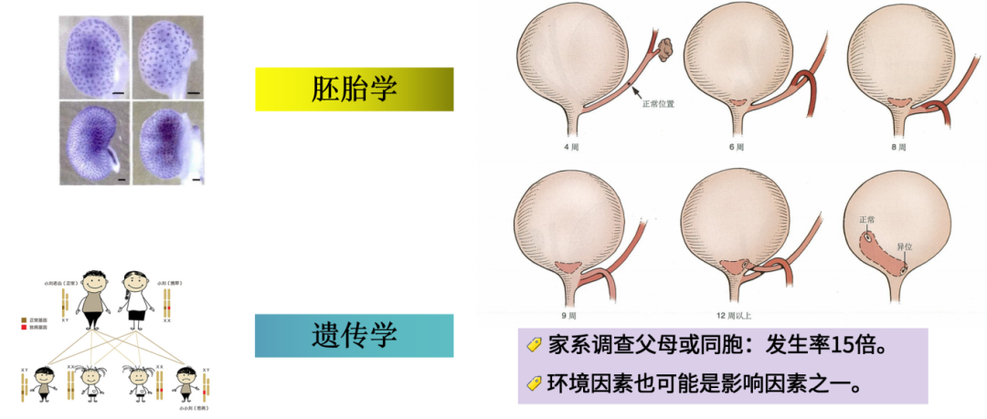 微信图片_2026-07-07_105313_143.png