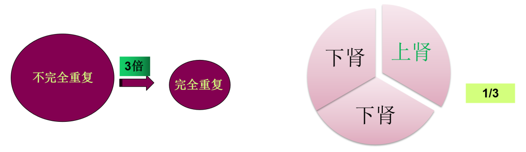 微信图片_2026-07-07_105316_413.png