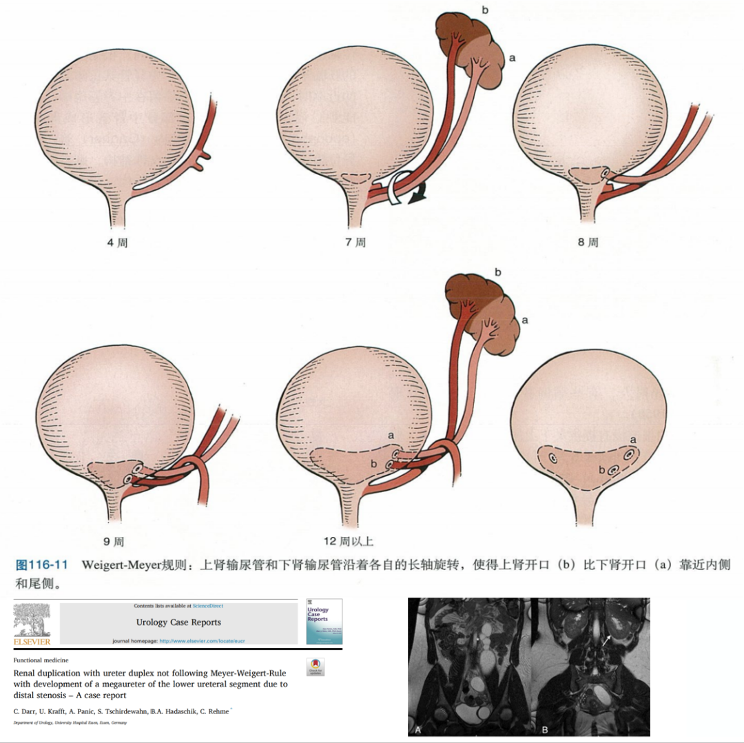 微信图片_2026-07-07_105320_125.png