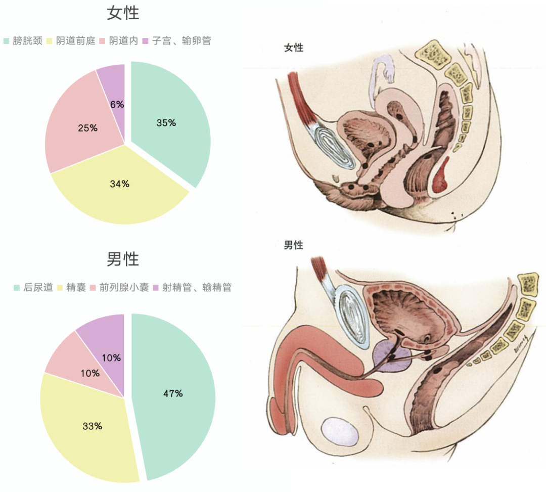 微信图片_2026-07-07_105323_165.png