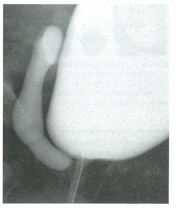 微信图片_2026-07-07_105326_142.png