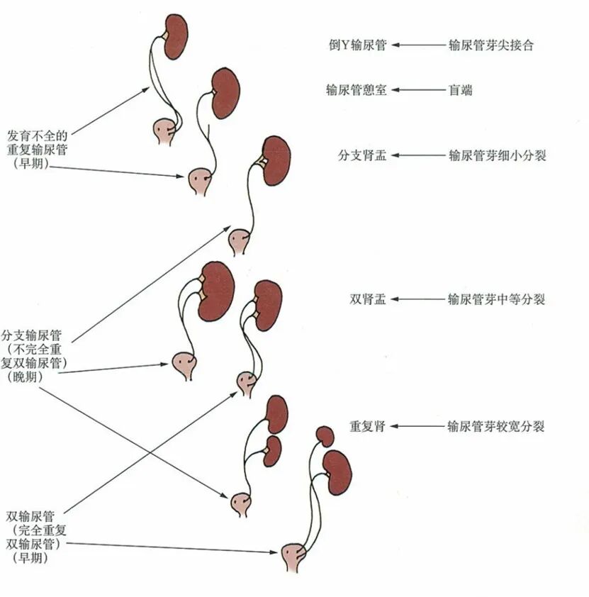 微信图片_2026-07-07_105332_804.jpg