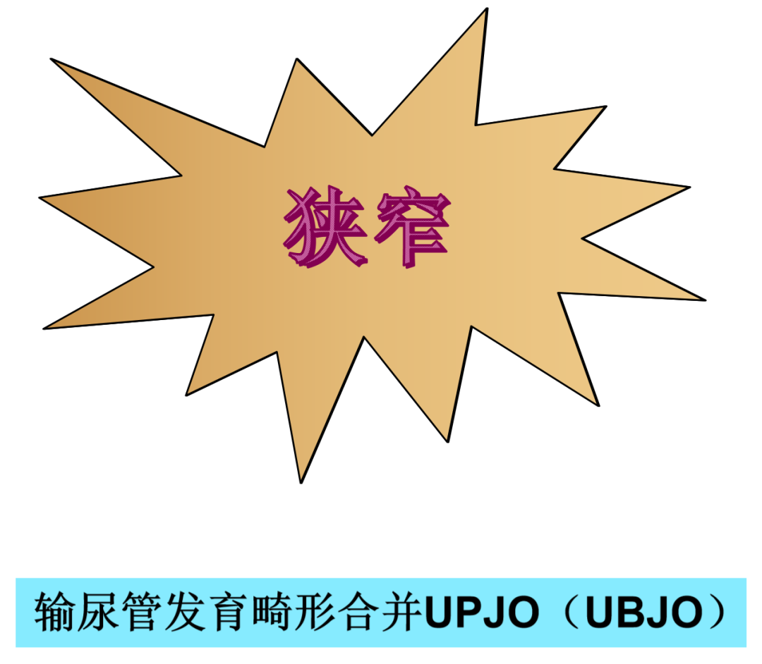 微信图片_2026-07-07_105335_630.png