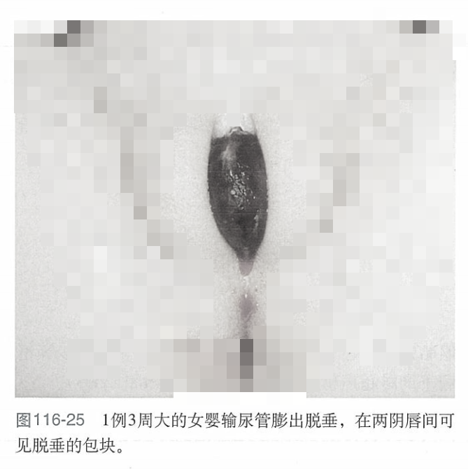 微信图片_2026-07-07_105347_540.png